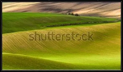 Картина Волны зелёных полей в Южной Моравии (Чехия)