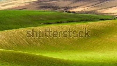Плакат Волны зелёных полей в Южной Моравии (Чехия)