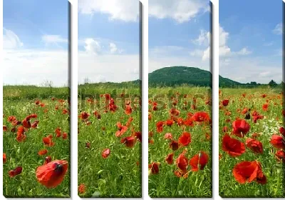 Красивое маковое поле на фоне горы Ржип (Чехия)