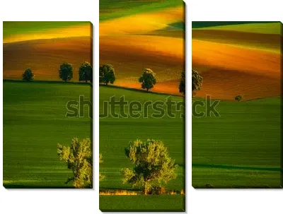 Модульная картина Великолепные разноцветные Моравские поля (Чехия)