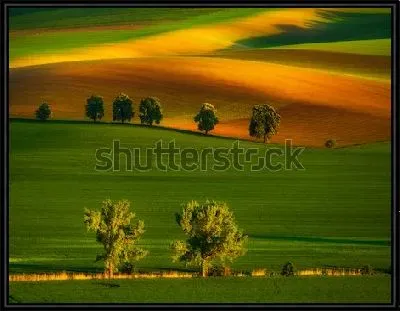 Картина Великолепные разноцветные Моравские поля (Чехия)