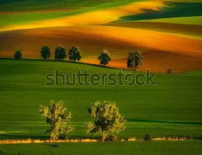 Плакат Великолепные разноцветные Моравские поля (Чехия)