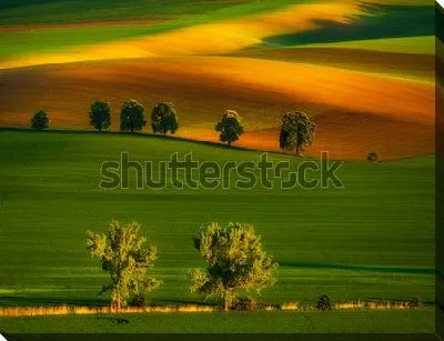 Постер Великолепные разноцветные Моравские поля (Чехия)