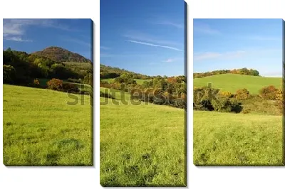 Модульная картина Заливные луга и зелёные леса Богемии (Чехия)