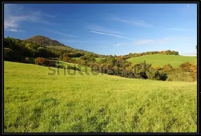 Картина Заливные луга и зелёные леса Богемии (Чехия)