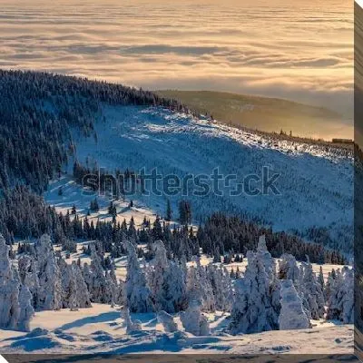 Картина маслом Великолепная зимняя панорама с видом на облака и лесистые горы на закате