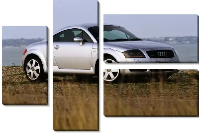 Модульная картина Audi