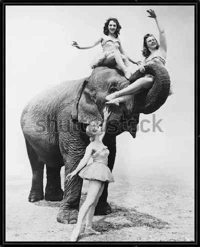 Картина Три девушки-дрессировщицы со слоном