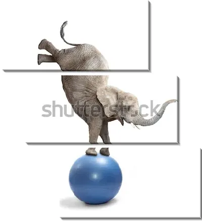 Модульная картина Забавный цирковой слон балансирует на мяче 