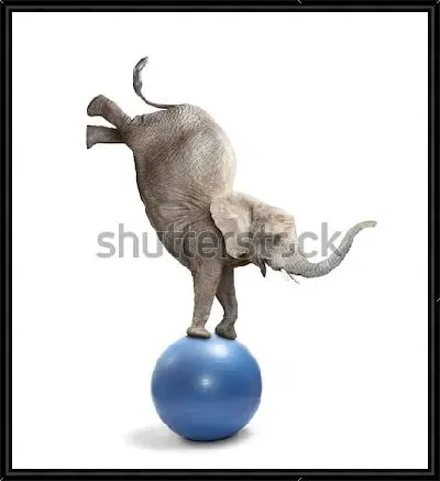 Забавный цирковой слон балансирует на мяче 