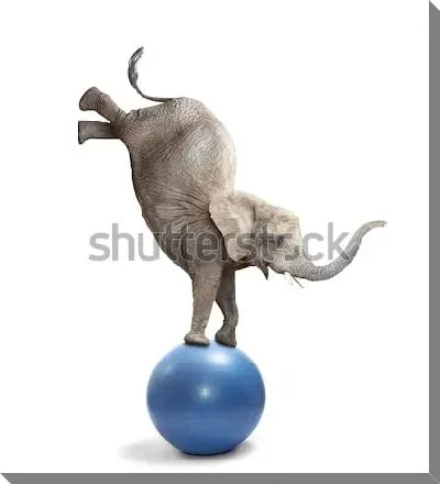 Забавный цирковой слон балансирует на мяче 