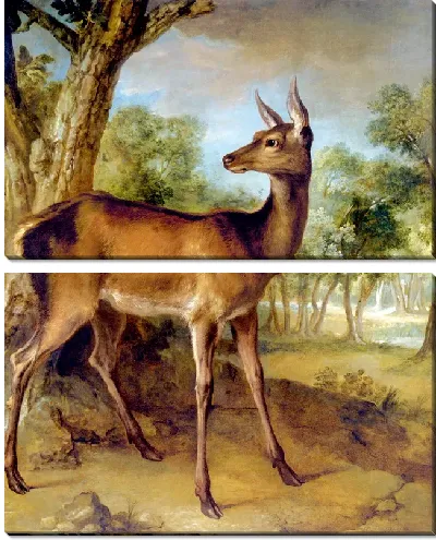 Картина Бдительная лань (The Watchful Doe)