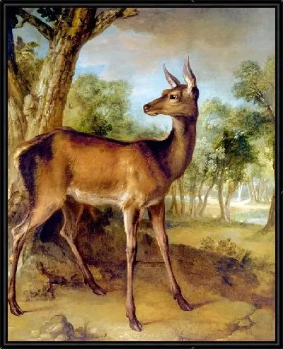 Картина Бдительная лань (The Watchful Doe)