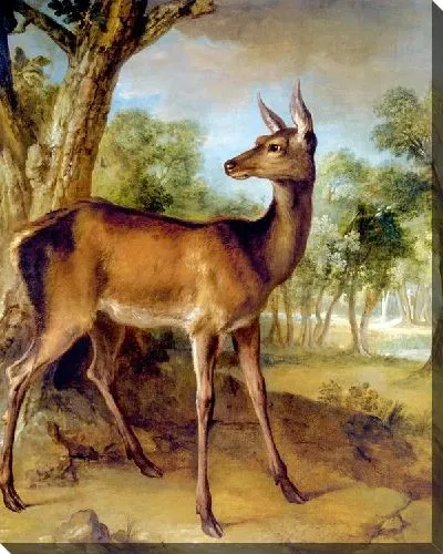 Картина Бдительная лань (The Watchful Doe)