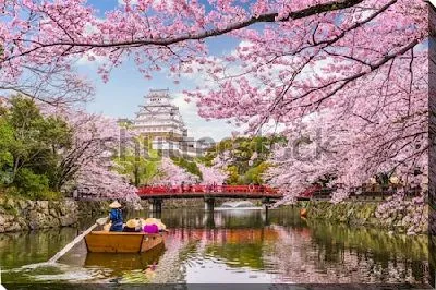 Путешествие по самому знаменитому и древнейшему из сохранившихся японских замков Химедзи во время цветения сакуры