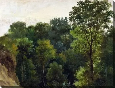 Картина Деревья (Tree)