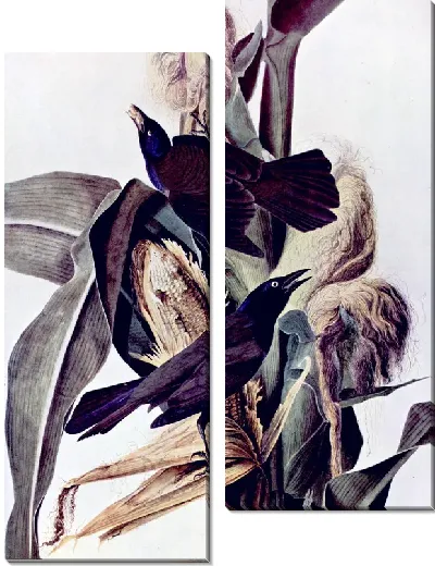 Картина Кукуруза (Corn)