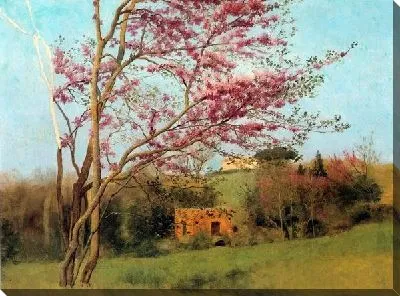 Цветущий красный миндаль (Blossoming Red Almond)