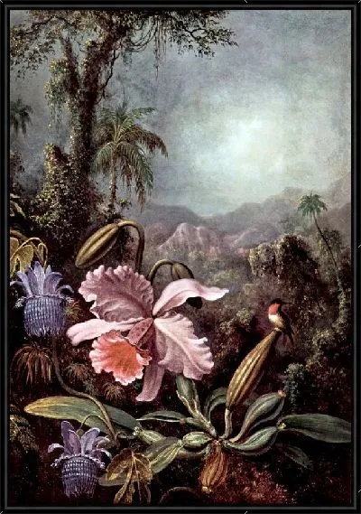 Картина Цветы страсти и колибри