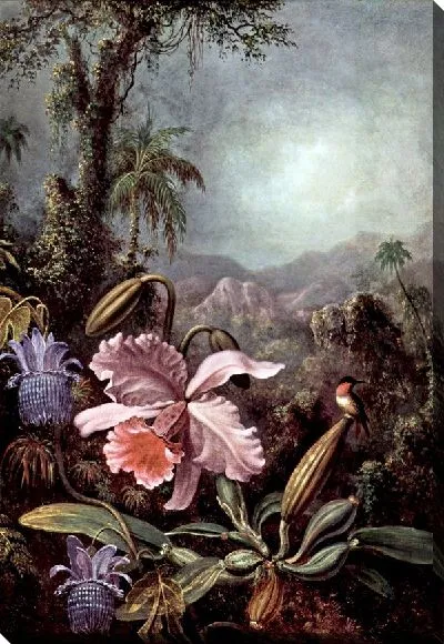 Картина Цветы страсти и колибри