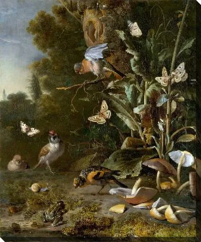 Картина Птицы, бабочки и лягушка среди растений и грибов (Birds, Butterflies and a Frog among Plants and Fungi)
