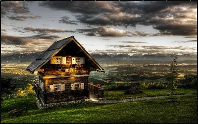 картина