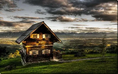 картина