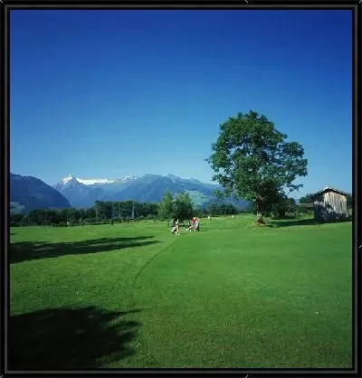 Зеленое поле