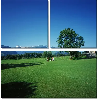 Зеленое поле