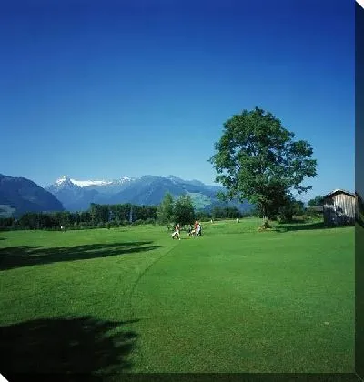 Зеленое поле