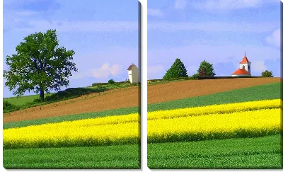 Модульная картина Австрийское поле