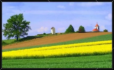 Картина Австрийское поле