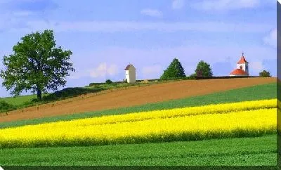 Постер Австрийское поле