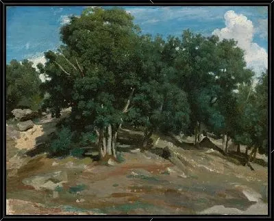 Картина Фонтенбло: Дубы в Бас-Бро