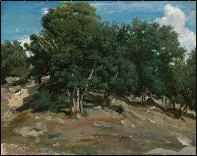 картина