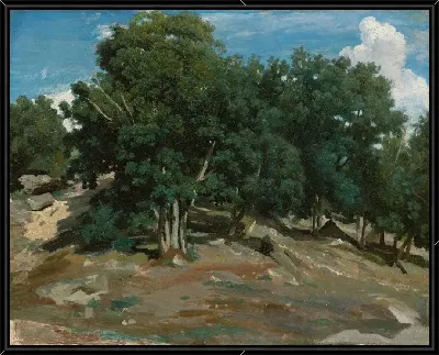 картина