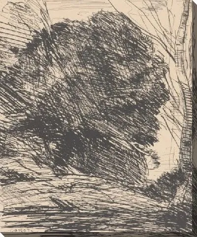 Картина Деревья в горах