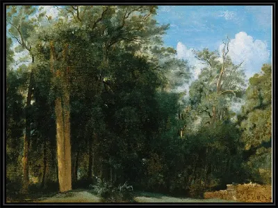 картина