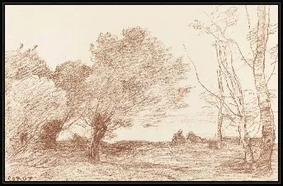 Ивы и белые тополя