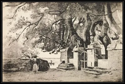 картина