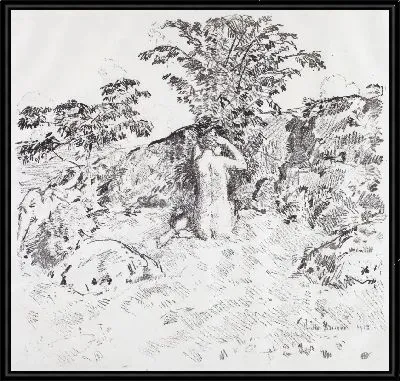 Дикое Вишневое Дерево