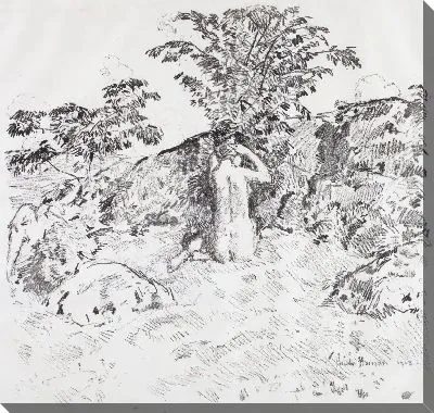 Дикое Вишневое Дерево