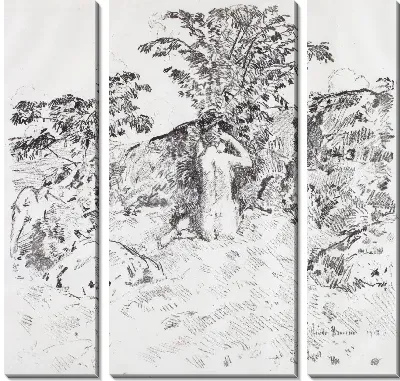 Дикое Вишневое Дерево