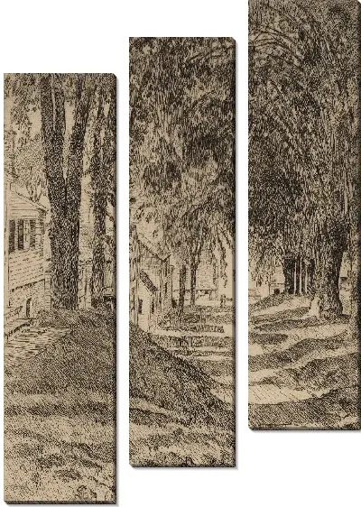 Картина Американский вяз, Белфаст, Мэн