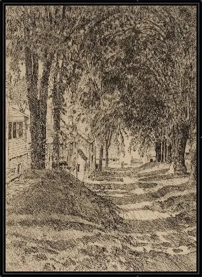 Картина Американский вяз, Белфаст, Мэн