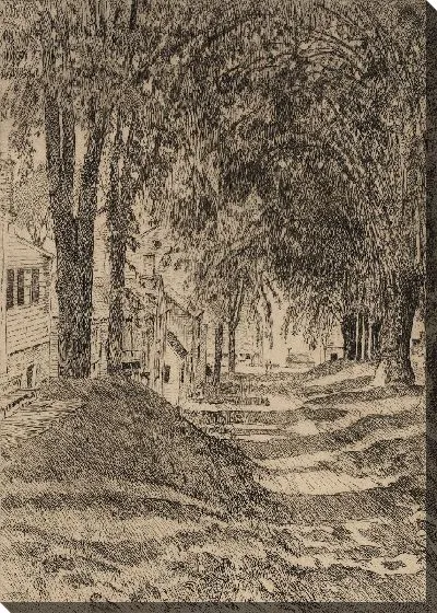 Картина Американский вяз, Белфаст, Мэн