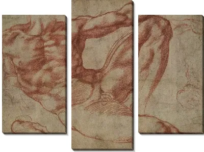 Картина Этюд для Адама