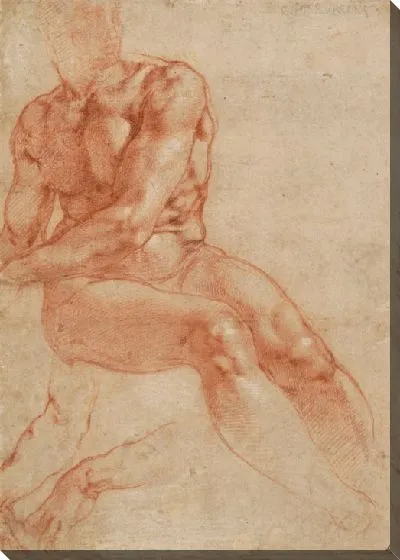 Картина Сидящий молодой мужчина Обнаженная и две руки Исследования (ректо), c. 1510-11