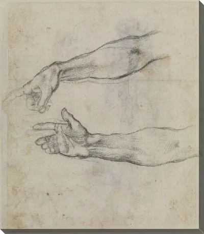 Этюды с вытянутой рукой к фреске «Пьянство Ноя» в Сикстинской капелле