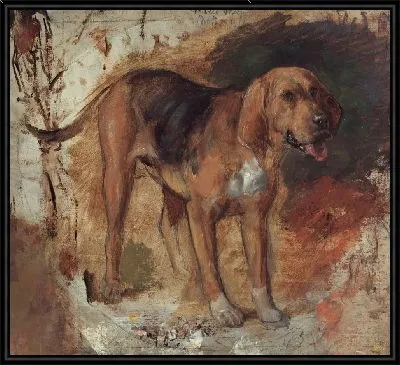 Исследование бладхаунда